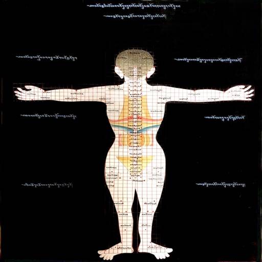 ツボマニュアル icon