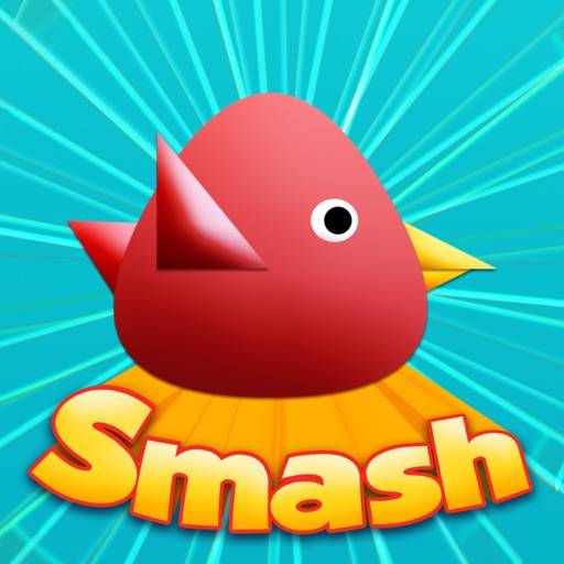 Cool Birds Game - Fun Smash icon