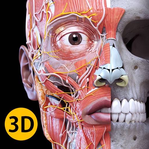 Anatomy 3D Atlas icona