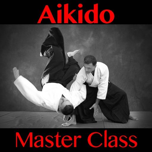 eliminar Aikido Master Class