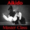 Aikido Master Class icon