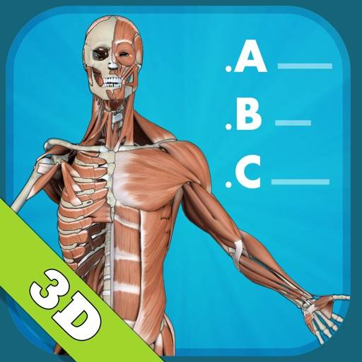 Anatomy Quiz - muscles and bones ikon