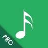 MusicBuddy Pro: Vinyls & CDs app icon