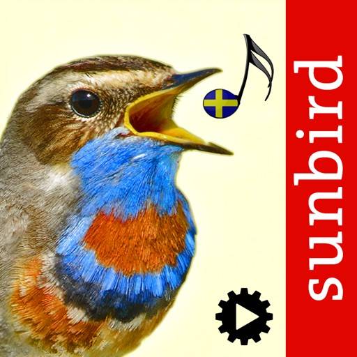 Fågelsång Id - fåglar ikon
