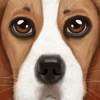 Ultimate Dog Simulator app icon