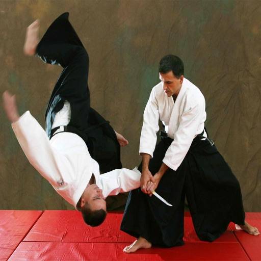 Learn Aikido Techniques icon