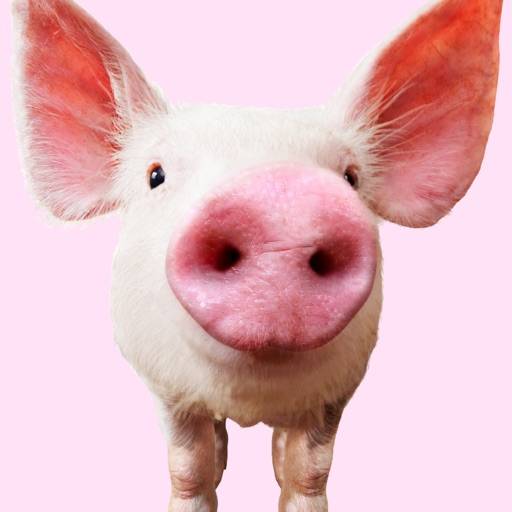 delete Pig Sounds