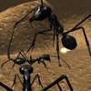 Ant Simulation 3D Full icono