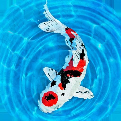 My Koi Symbol