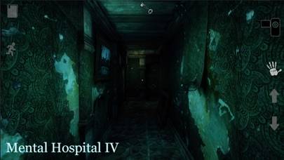 mental hospital 5