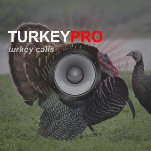 Turkey Calls - Turkey Sounds - Turkey Caller App icon