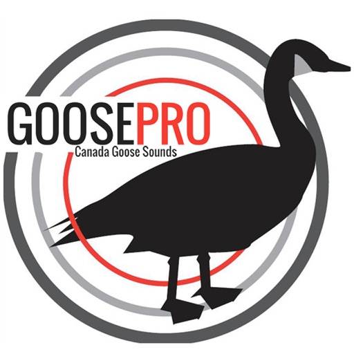 Goose Hunting Calls-Goose Sounds-Goose Call App icon