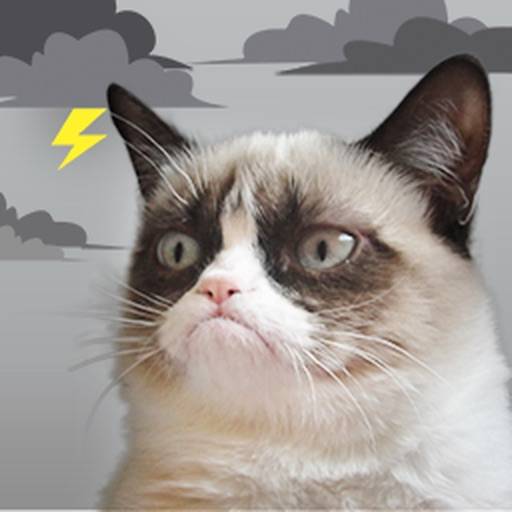 Grumpy Cat's Funny Weather app icon