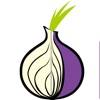 Red Onion - Tor Browser icon
