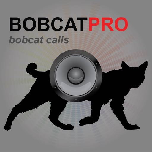 REAL Bobcat Calls icon