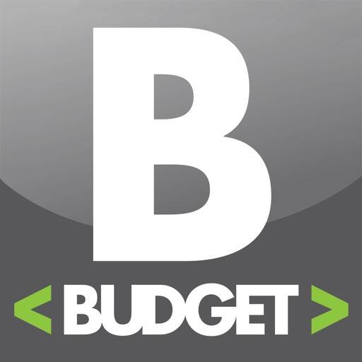 Budget en ligne icône