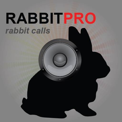 delete Rabbit Calls