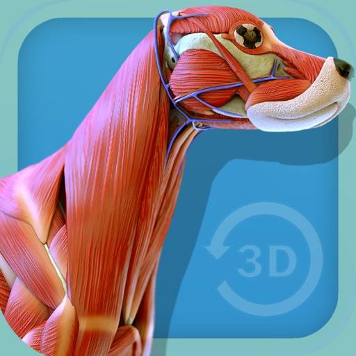 Visual Anatomy app icon