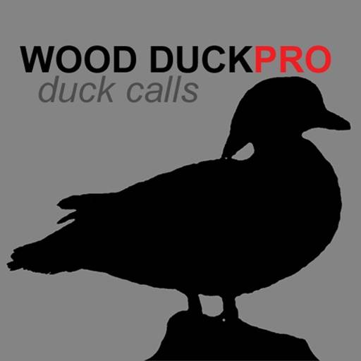 Wood Duck Calls icon