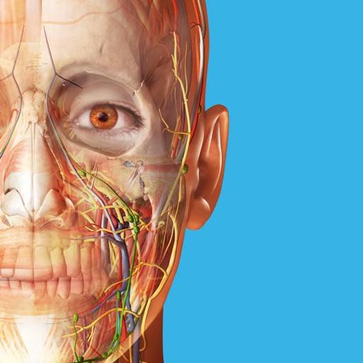 Atlas d'anatomie humaine 2025