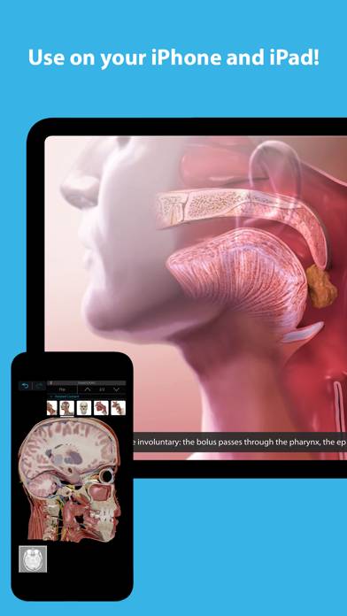 Human Anatomy Atlas 2020 Descarga de la aplicación [actualizada Jul 19