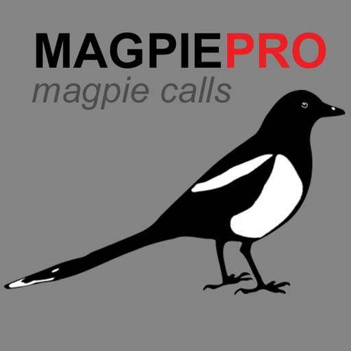 REAL Magpie Hunting Calls - REAL Magpie CALLS & Magpie Sounds! Symbol