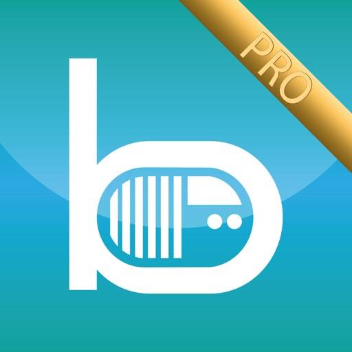 bedr Pro - radio sveglia icona