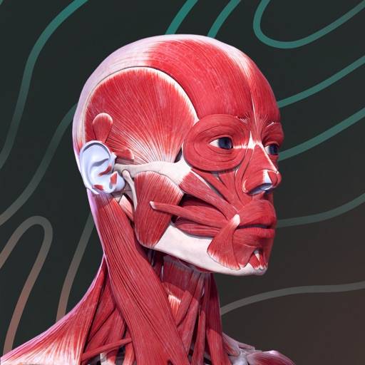 Easy Anatomy 3D app icon