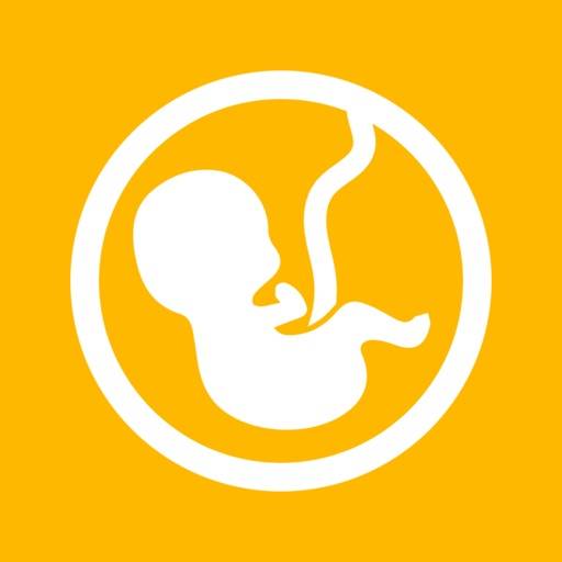 Fetal Weight Calculator - Estimate Weight and Growth Percentile icon