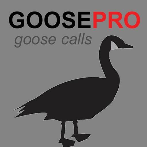 Canada Goose Calls & Goose Sounds for Hunting BLUETOOTH COMPATIBLE icon