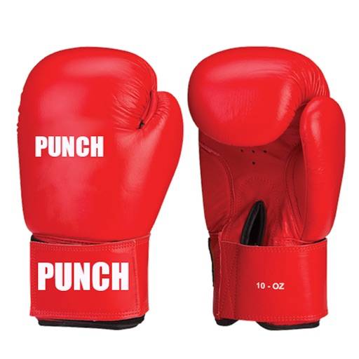 Power Punches icon