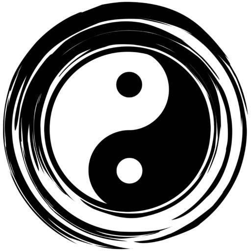 AcuRhythm Acupuncture Pro