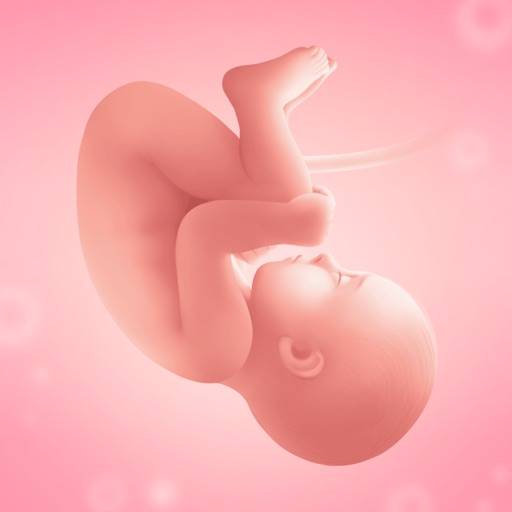 Календарь беременности plus роды app icon
