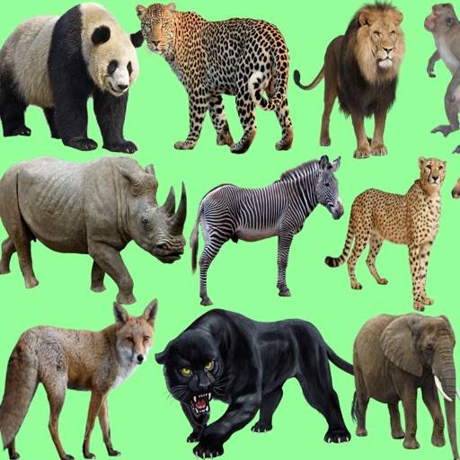 Wild Animals Quiz icon