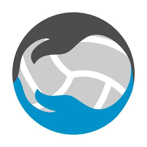 Mein Volleyball app icon