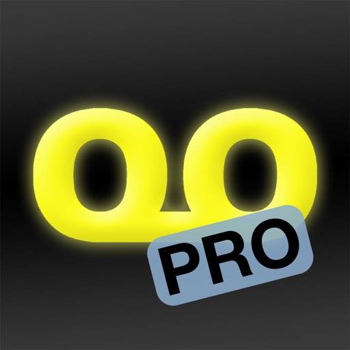Quantiloop Pro icon