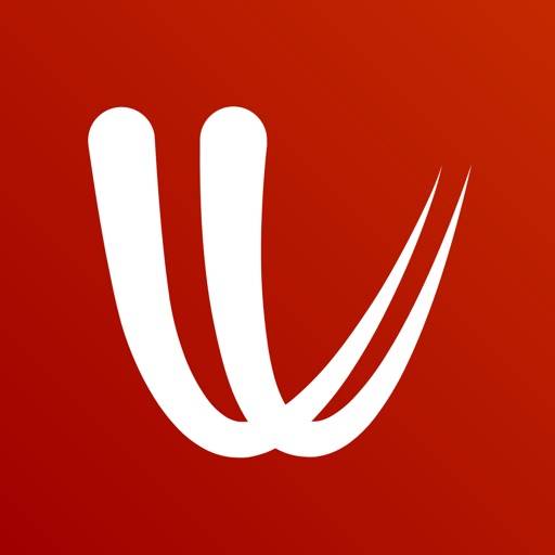 Windy.com icon