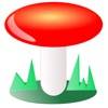 Funghi italiani icona