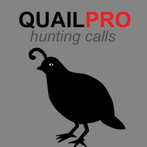 REAL Quail Sounds and Quail Hunting Calls app icon