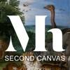 Second Canvas Mauritshuis app icon