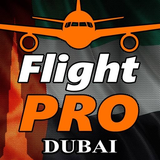 Pro Flight Simulator Dubai 4K icona