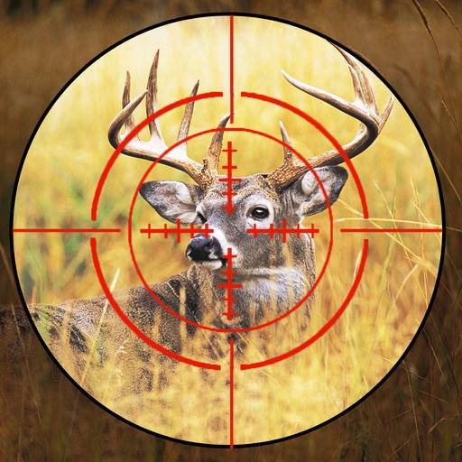 delete Range Finder