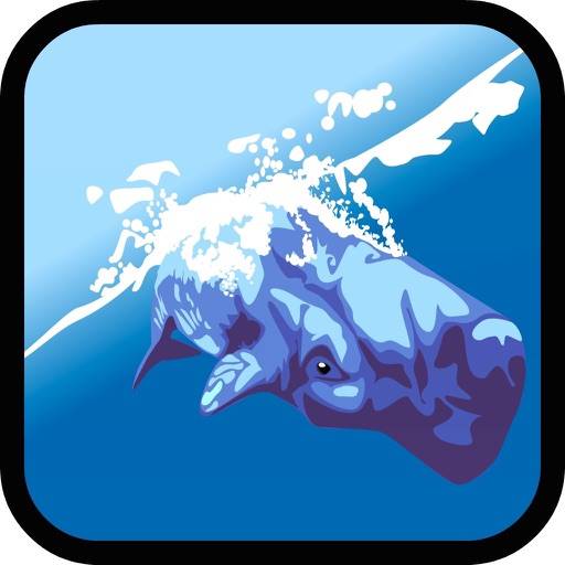 Mondo del mare: giochi per bam