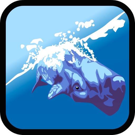 Sea World: Kids Dolphin Games icon