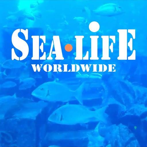 Sea Life worldwide app icon