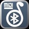 Midi Chords Display app icon