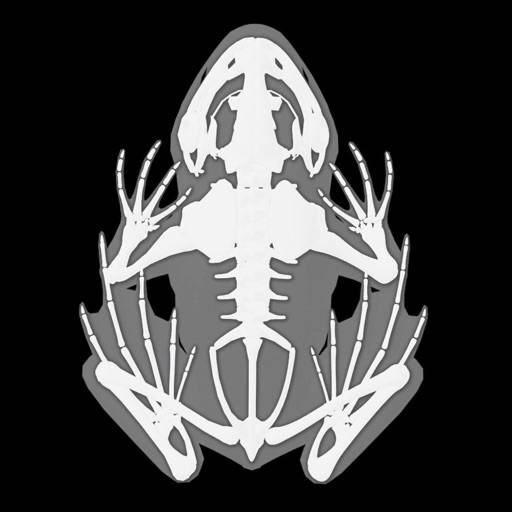 3D Frog Anatomy icon