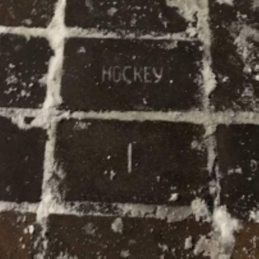delete Olympic Brick Finder