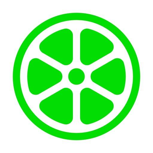 Lime icon