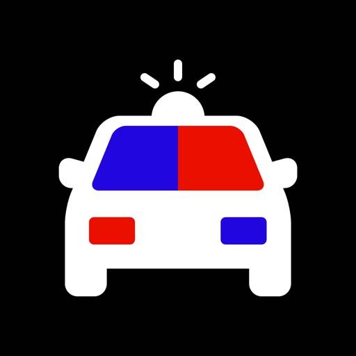 Police Flash Lights icon